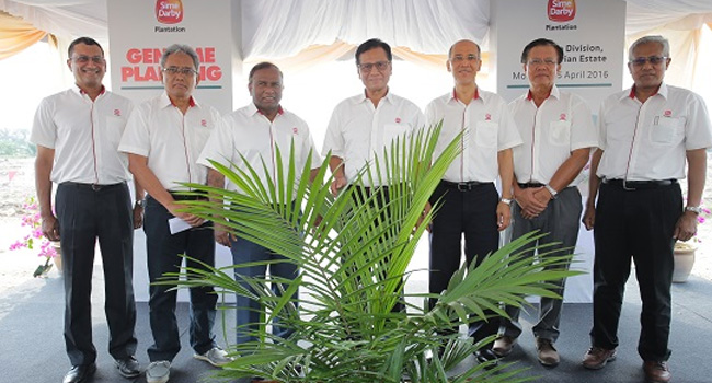 Sime Darby Embarks on First Planting of Genome Select Oil Palm