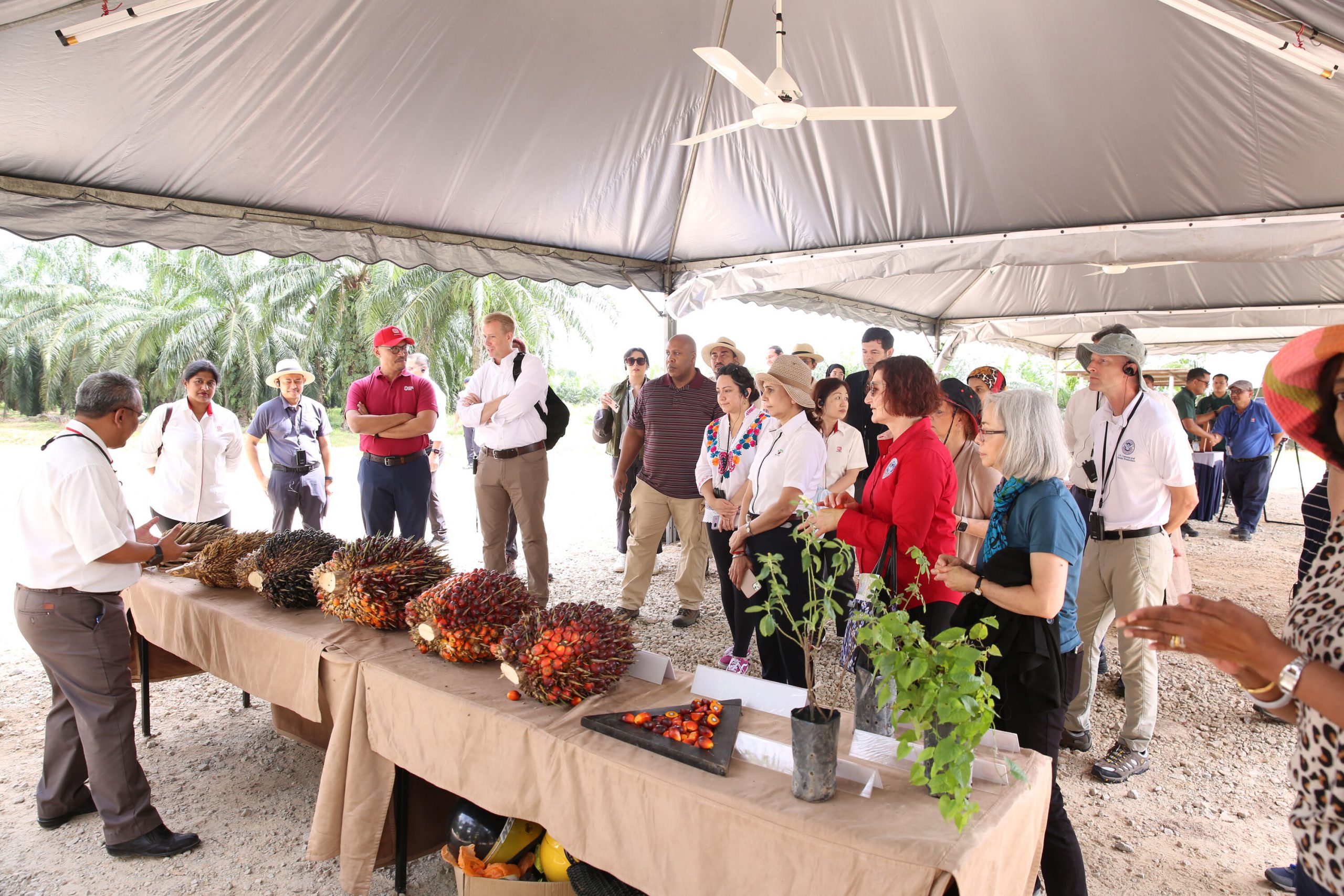 Sime Darby Plantation welcomed US delegation to Carey Island operations